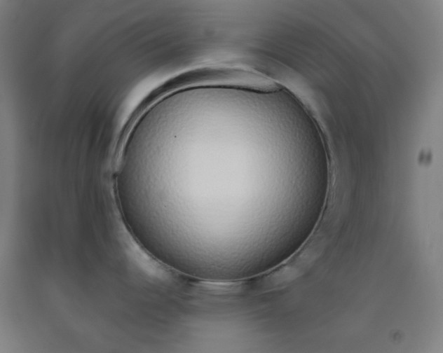 X0000091861344200709261247