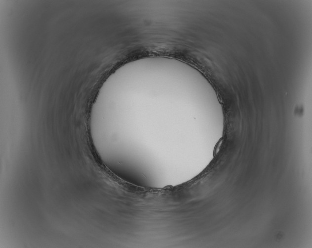 X0000091861345200709261246