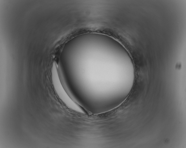 X0000091861349200709261246