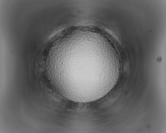 X0000091861350200709261246