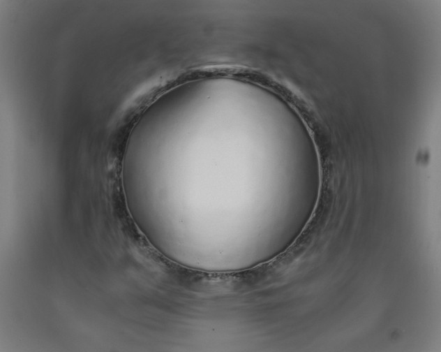 X0000091861351200709261246