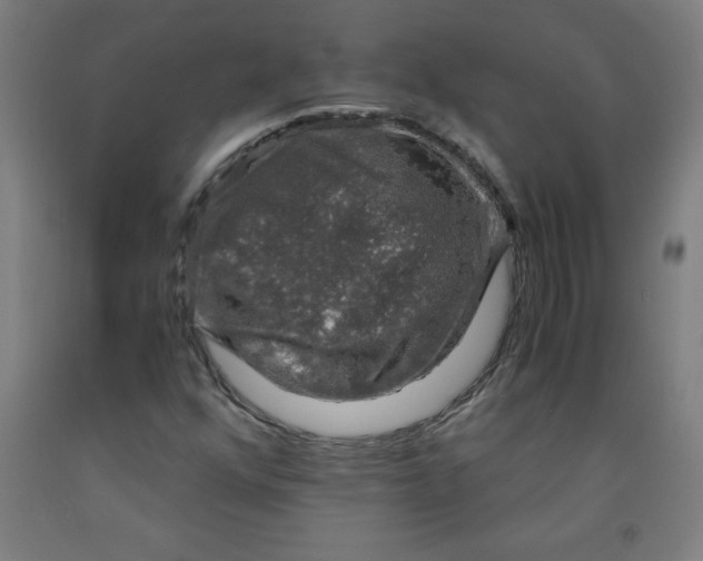 X0000091861352200709261246