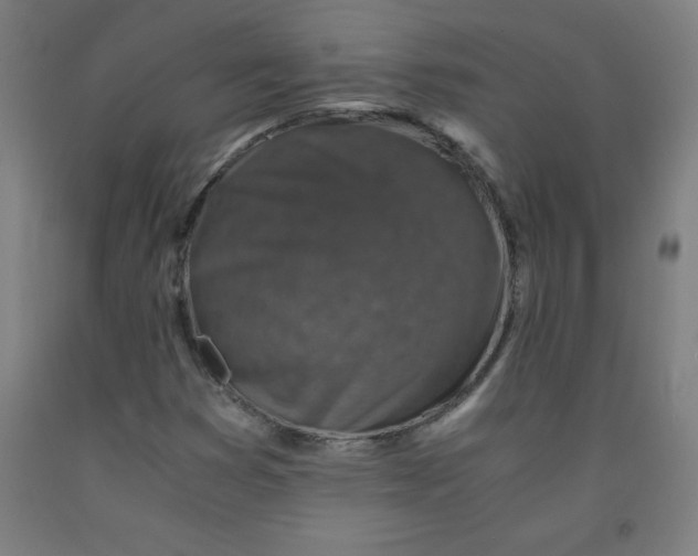 X0000091861353200709261246