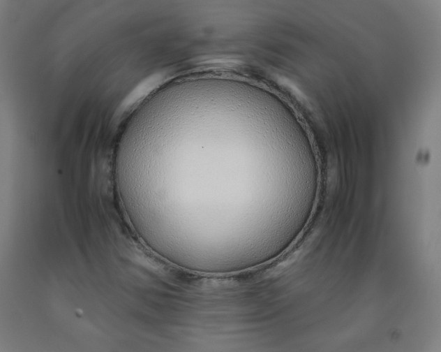 X0000091861354200709261246