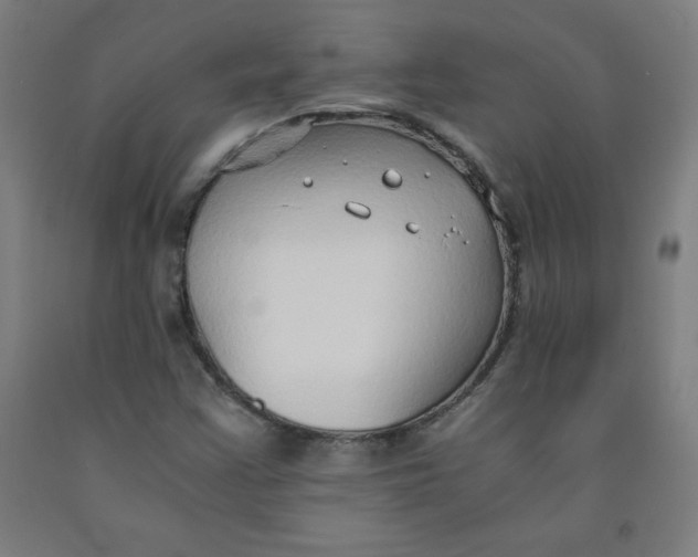 X0000091861355200709261246