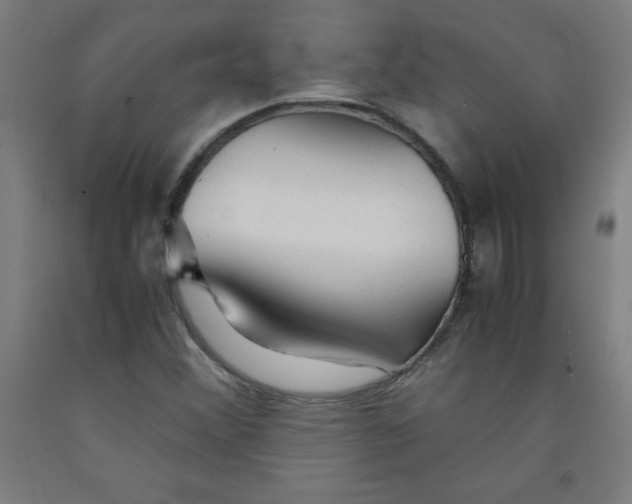 X0000091861356200709261246