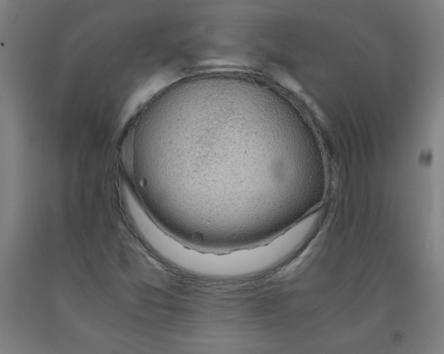 X0000091861357200709261246