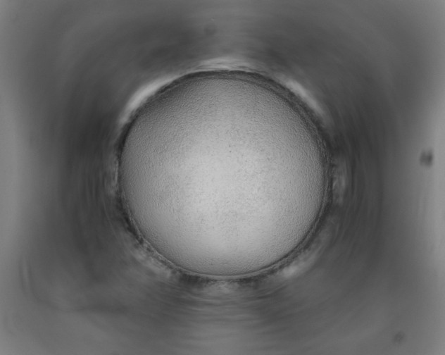 X0000091861358200709261246