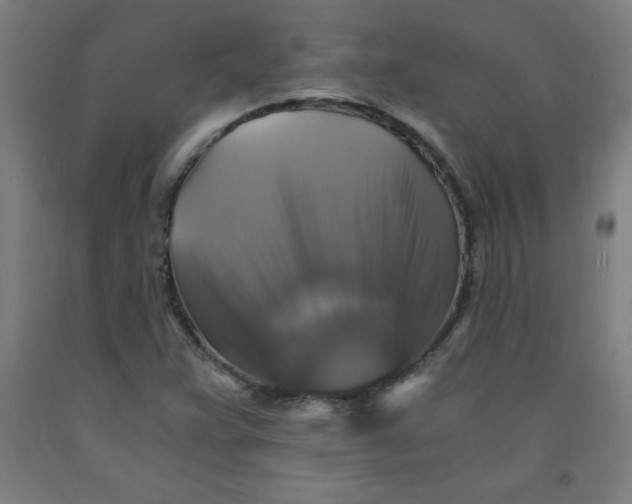 X0000091861359200709261246