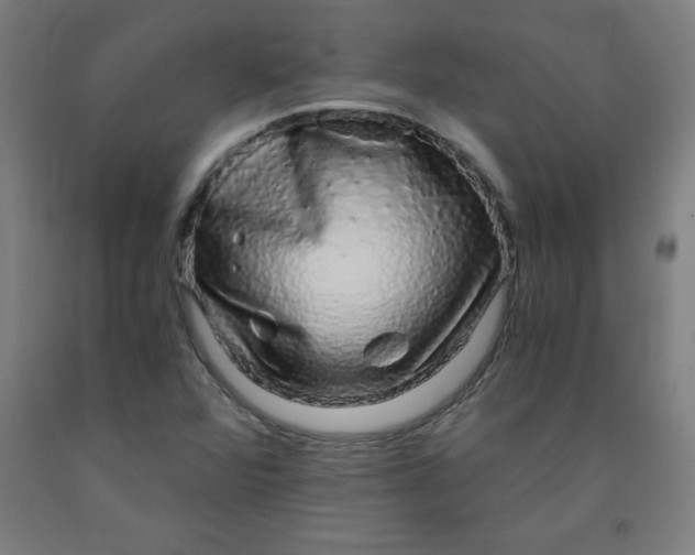 X0000091861360200709261246