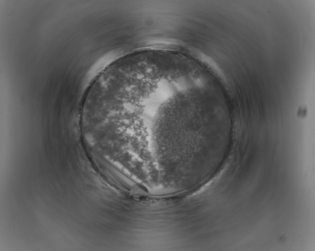 X0000091861362200709261246