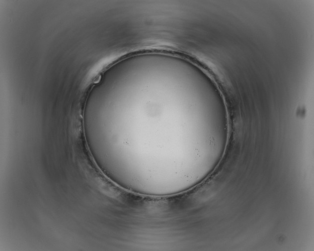 X0000091861363200709261246