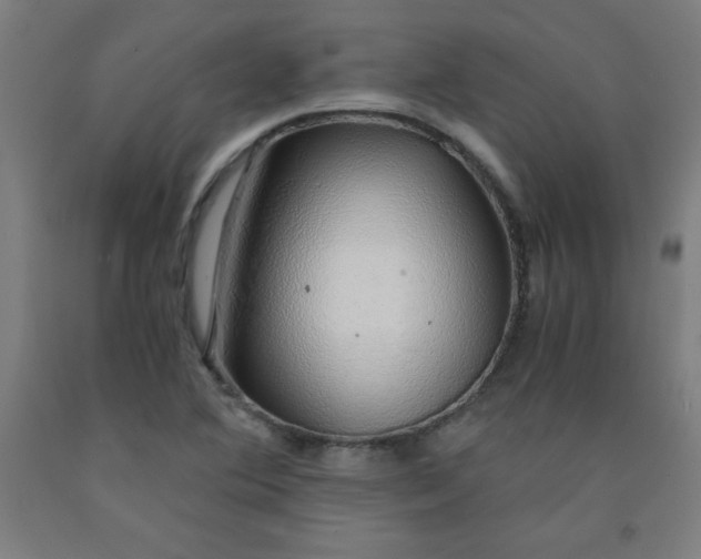 X0000091861364200709261246