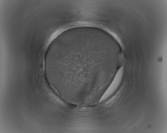 X0000091861365200709261246