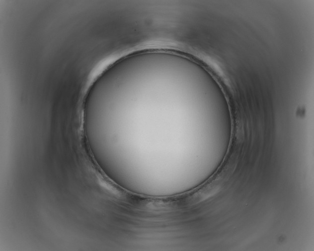 X0000091861366200709261246