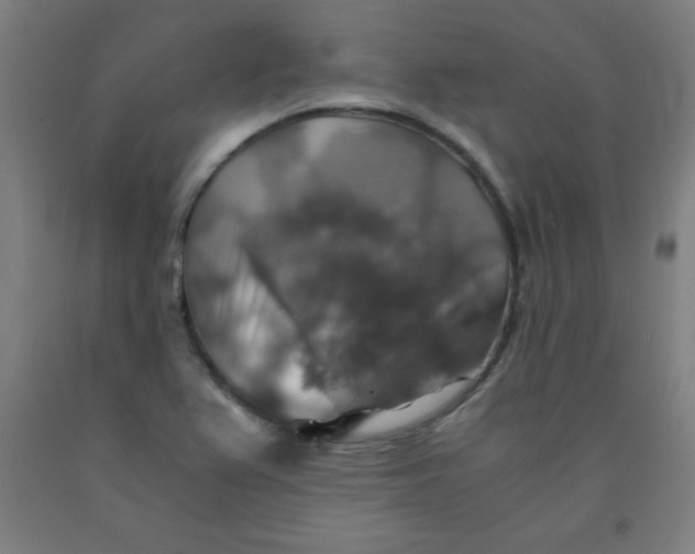 X0000091861367200709261245