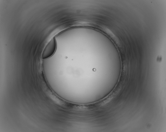 X0000091861370200709261245