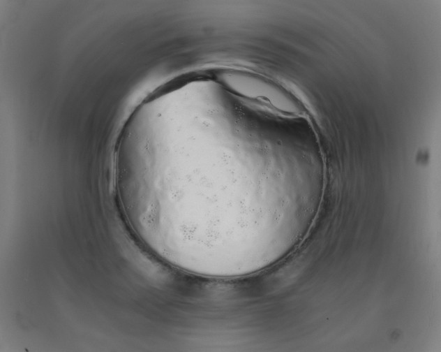 X0000091861371200709261245