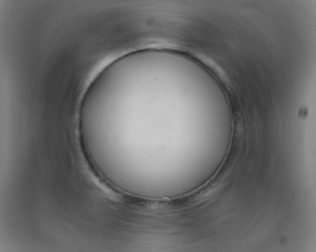 X0000091861375200709261245