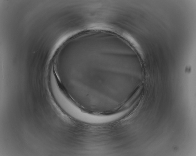 X0000091861376200709261245