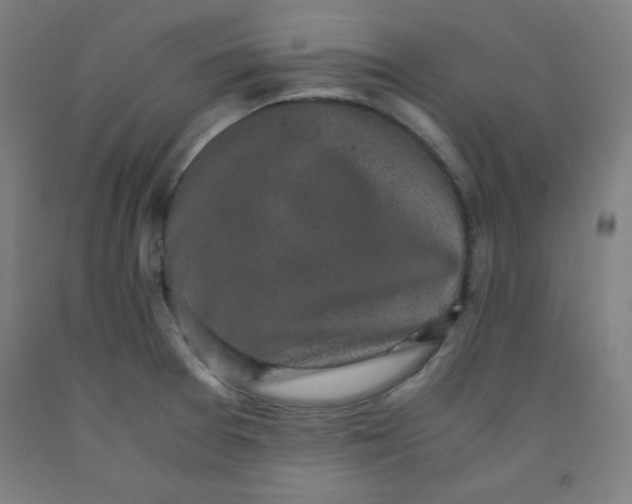 X0000091861377200709261245