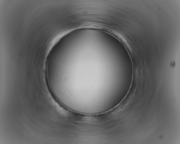 X0000091861379200709261245