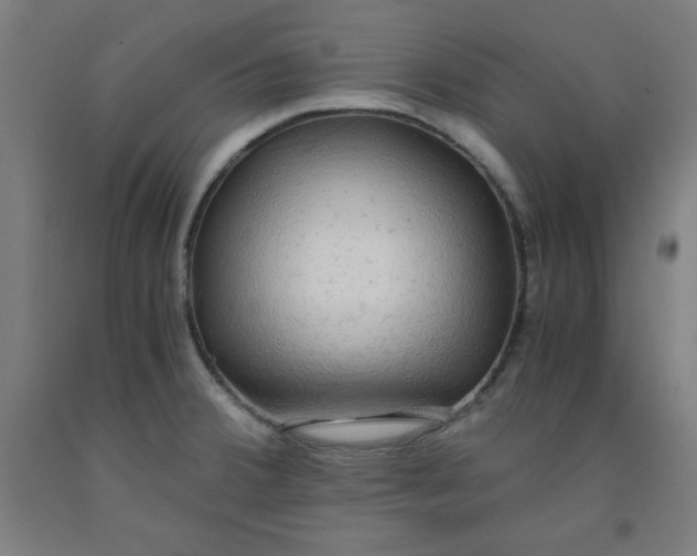 X0000091861380200709261245