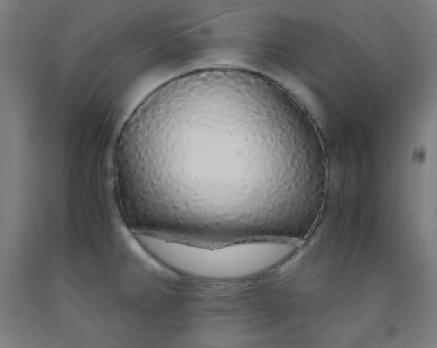 X0000091861382200709261245