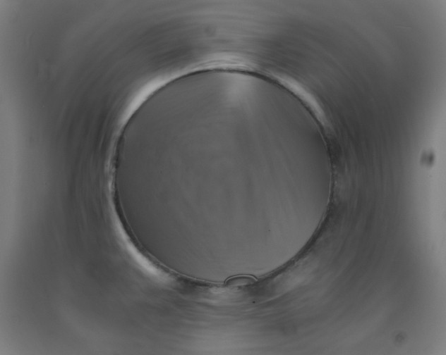 X0000091861383200709261245