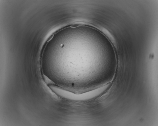 X0000091861384200709261245