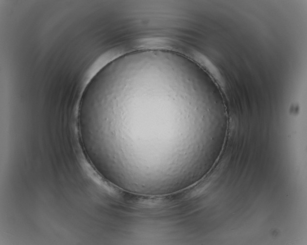 X0000091861386200709261245