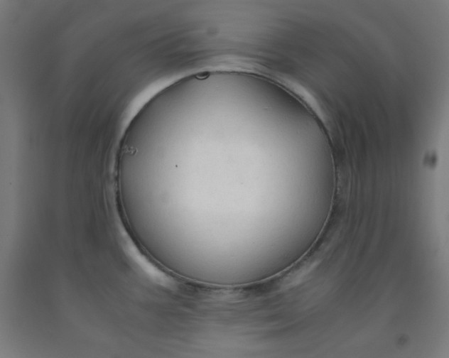 X0000091861387200709261245