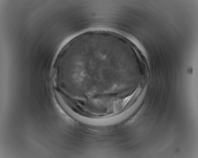 X0000091861388200709261245