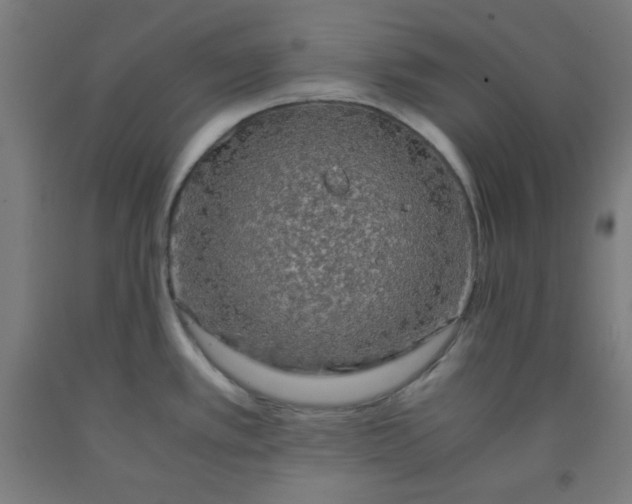 X0000091861389200709261245