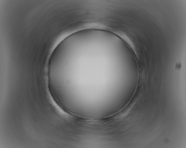 X0000091861391200709261245