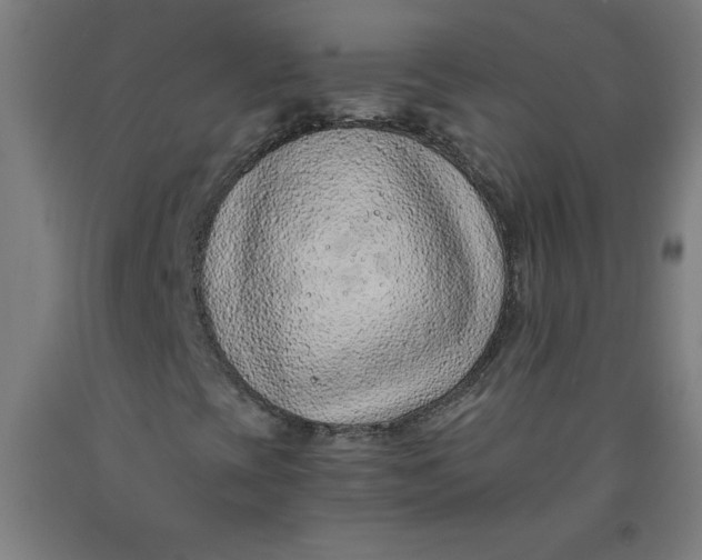 X0000091861393200709261244