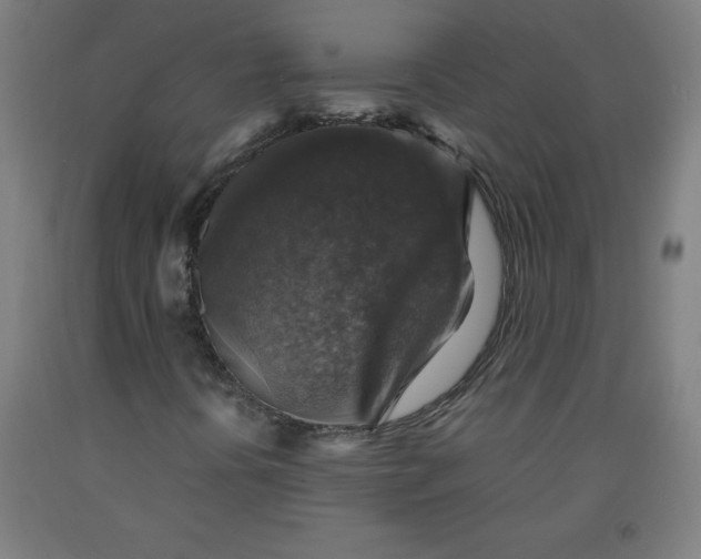 X0000091861394200709261244