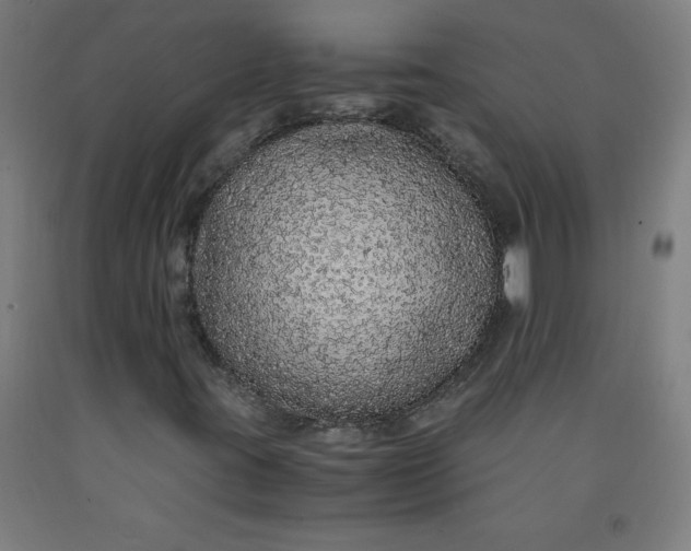 X0000091861395200709261244