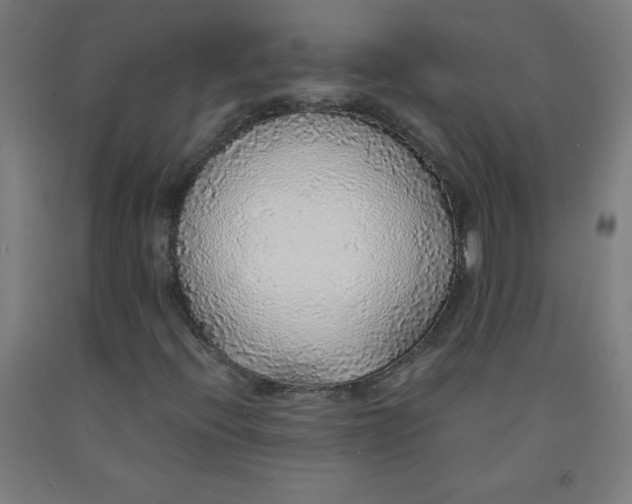 X0000091861396200709261244