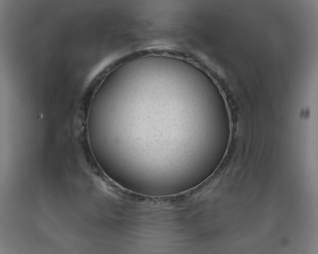 X0000091861400200709261244