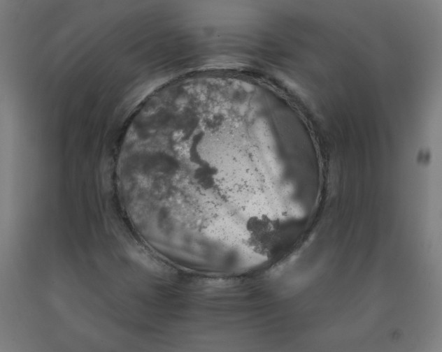 X0000091861401200709261244