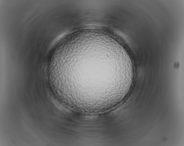 X0000091861403200709261244