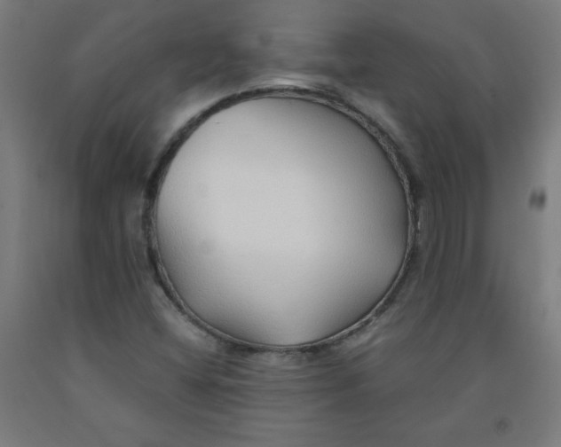 X0000091861404200709261244