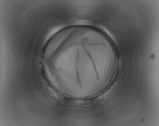 X0000091861405200709261244