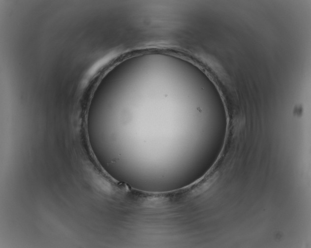 X0000091861406200709261244