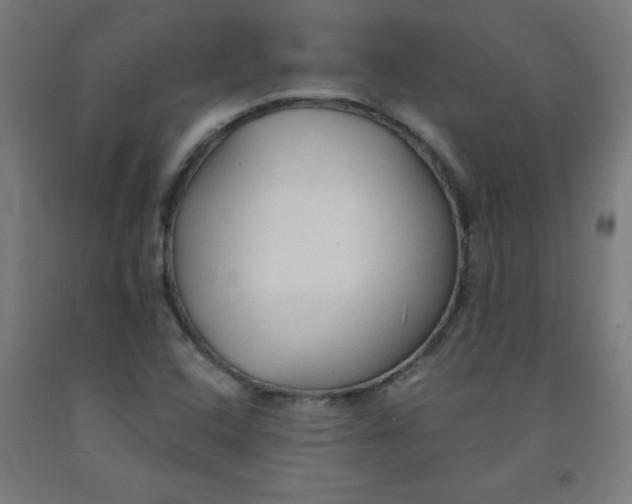 X0000091861408200709261244