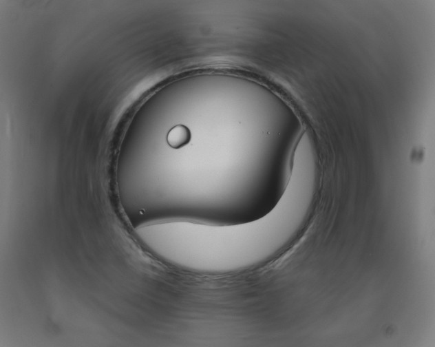 X0000091861410200709261244