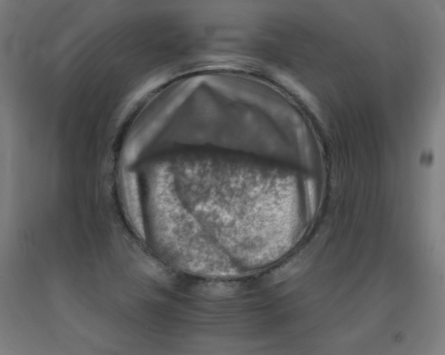 X0000091861411200709261244