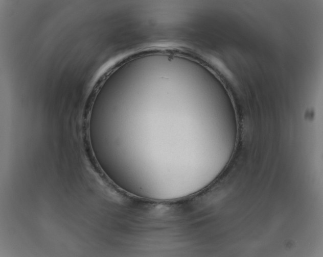 X0000091861412200709261244