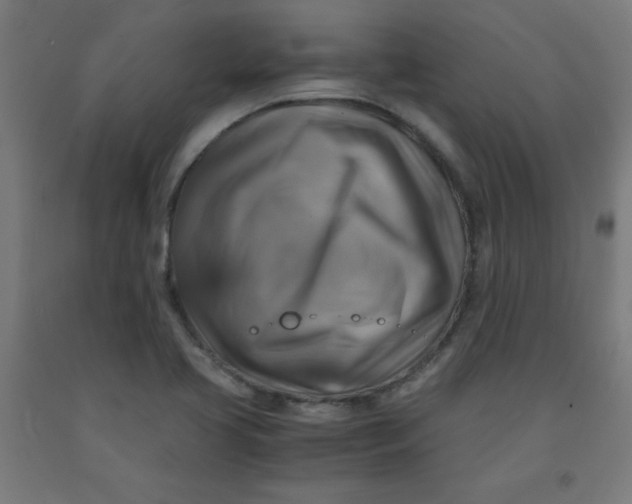 X0000091861413200709261244